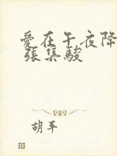 爱在午夜降临前 张集骏