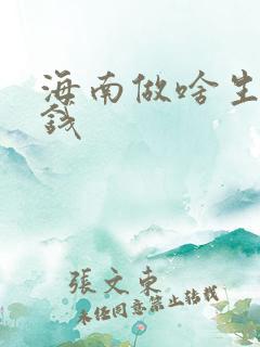 海南做啥生意赚钱