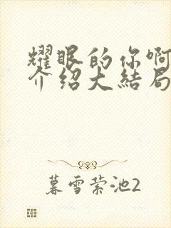 耀眼的你啊剧情介绍大结局