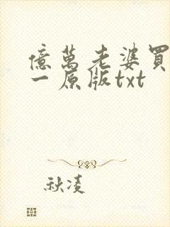 亿万老婆买一送一原版txt