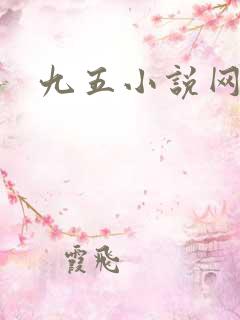 九五小说网下载