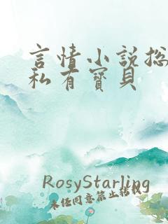 言情小说总裁的私有宝贝