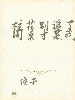 校花别追了高冷同桌才是我的txt