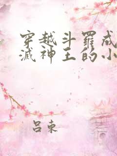 穿越斗罗成为毁灭神王的小说