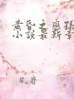 黄昏之恋孙雨菲小说最新章节阅读