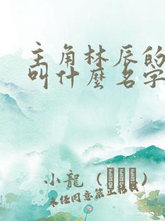 主角林辰的小说叫什么名字