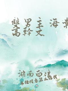 双男主 海棠 高干文