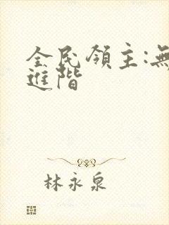 全民领主:无限进阶