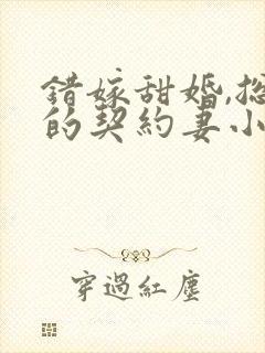 错嫁甜婚,总裁的契约妻小说