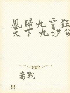 凤归九霄狂妃逆天下 九汐公子