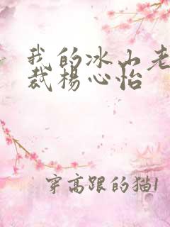 我的冰山老婆总裁杨心怡