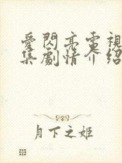 爱闪亮电视剧分集剧情介绍