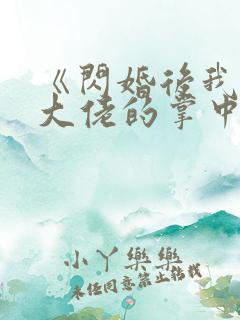 《闪婚后我成了大佬的掌中之物》