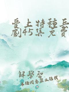 爱上特种兵电视剧45集免费观看