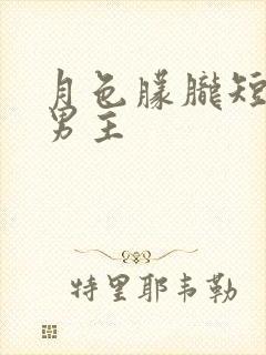 月色朦胧短剧双男主