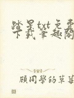 踏星txt免费下载笔趣阁