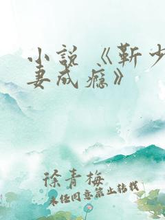 小说 《靳少宠妻成瘾》