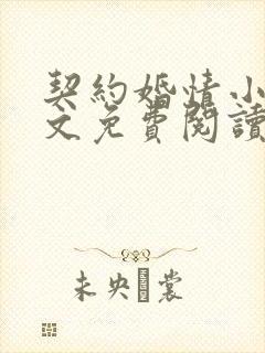 契约婚情小说全文免费阅读