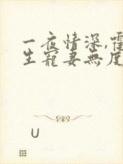 一夜情深,霍先生宠妻无度全书