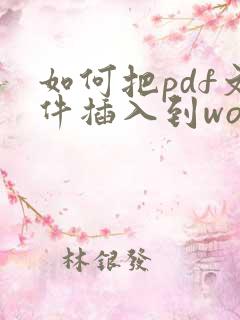 如何把pdf文件插入到word里