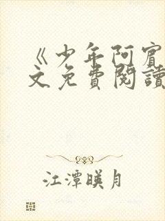 《少年阿宾》全文免费阅读