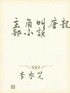 主角叫唐龙的全部小说