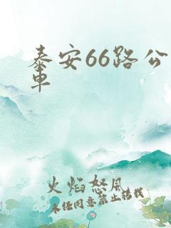 泰安66路公交车