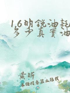 1.6明锐油耗多少真实油耗