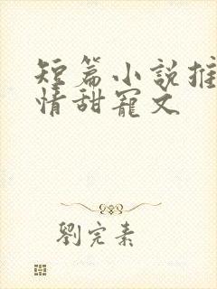 短篇小说推荐言情甜宠文