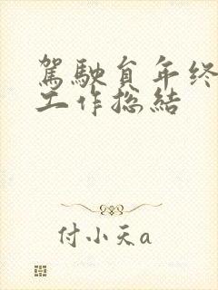 驾驶员年终个人工作总结