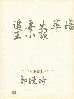 追妻火葬场双男主小说