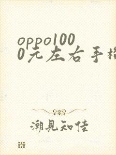 oppo1000元左右手机哪款好