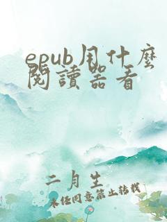 epub用什么阅读器看
