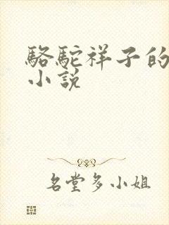 骆驼祥子的长篇小说