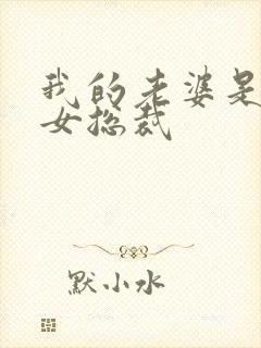 我的老婆是冰山女总裁