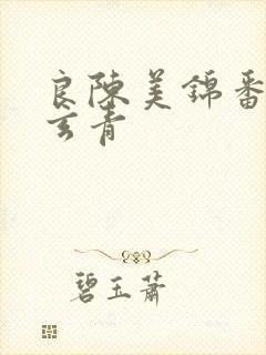 良陈美锦番外陈玄青