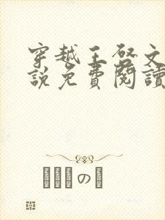 穿越王启文的小说免费阅读无弹窗