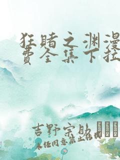 狂赌之渊漫画免费全集下拉式漫画