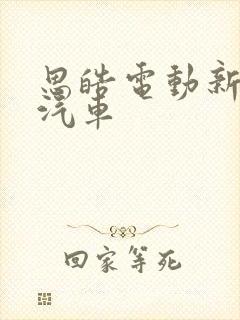 思皓电动新能源汽车