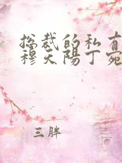 总裁的私有宝贝穆天阳丁宛情全本免费阅读