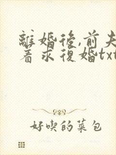 离婚后,前夫哭着求复婚txt