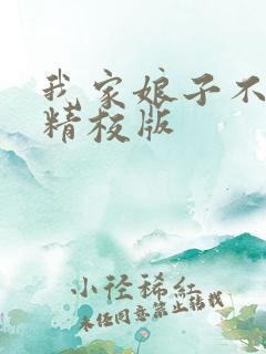 我家娘子不对劲精校版