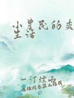 小农民的爽歪歪生活