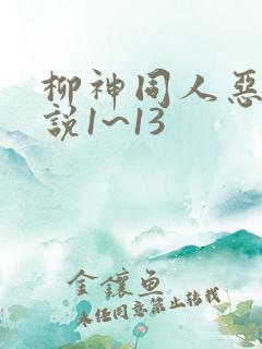 柳神同人恶堕小说1~13