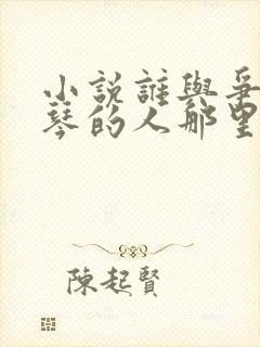 小说谁与争锋抚琴的人那里可以看