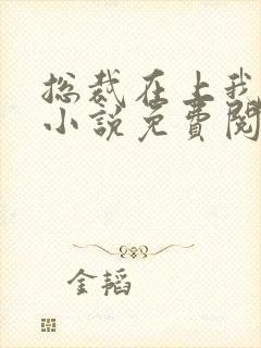 总裁在上我在下小说免费阅读