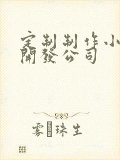 定制制作小程序开发公司