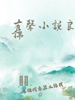 有声小说良陈美锦