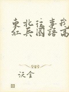 东北往事我叫赵红兵国语高清在线观看