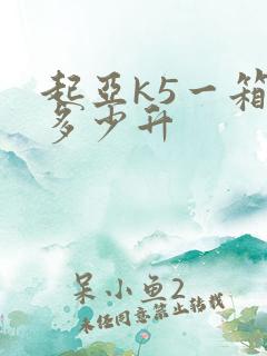 起亚k5一箱油多少升